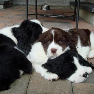 Meet your Posher, Janet lynn